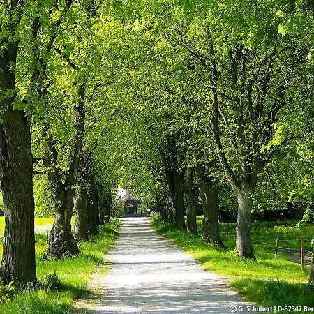 Landgasthof Drei Rosen Gasthof